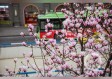 新疆旅游攻略必玩的景点（新疆旅游攻略必玩的景点线路图）