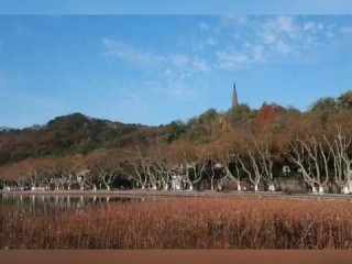 临安天气预报，藏在山水间的冷暖密码