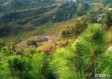 湖北天气15天情况（湖北天气预报一周天气）