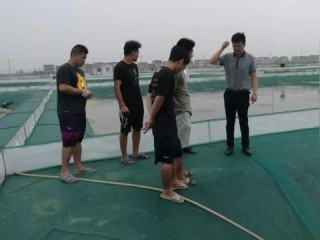 金坛天气预报30天，从梅雨到盛夏，精准预测助你从容应对