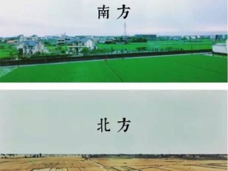 今年雨水情况怎样，从南涝北旱到极端频发，气候变局下的生存思考