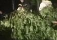 山东大暴雨最新消息，多地发布红色预警，防汛形势严峻