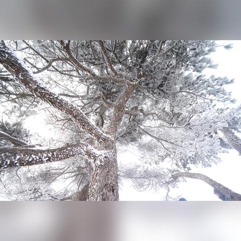 合肥天气预报40天（合肥天气预报40天准确一览表）
