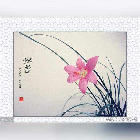 N1国际绿色版V55.12.266.106ios版本-推荐 N1国际绿色版V55.12.266.106ios版本-推荐