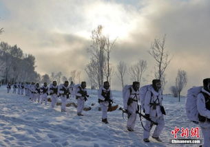 塔河天气预报,守护林海雪原的气象哨兵 塔河天气预报,守护林海雪原的气象哨兵