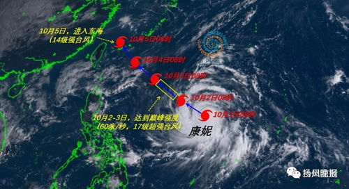 东莞天气30天预报，湿热与台风交织的夏日挑战