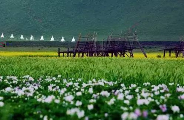 7月份去哪里旅游最好国内｜清凉避暑、草原花海与山海之间的盛夏秘境