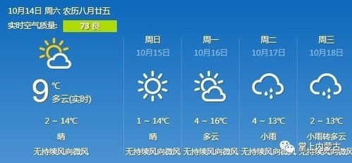 15天天气下载，掌握未来天气的智能之选