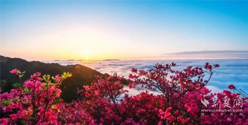 麻城天气，四季分明的诗意与烟火气