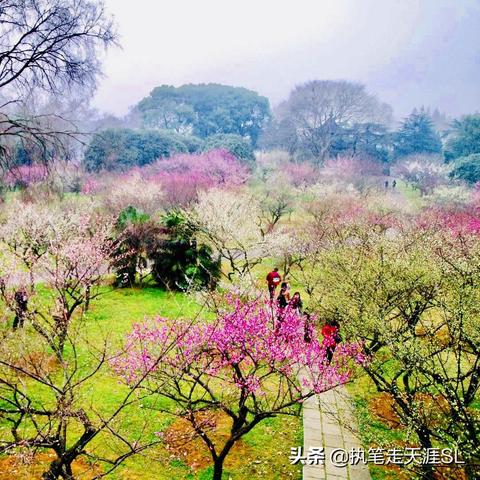 武汉天气预报，江城风云，一日看尽四季