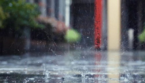 窗外，雨在呼吸，一份实时下雨情况下的城市观察笔记