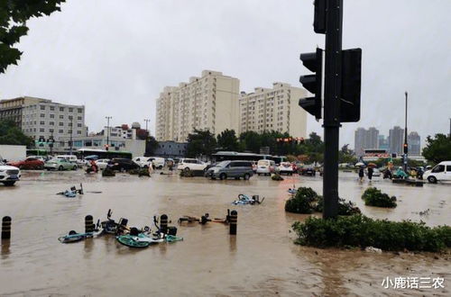 今明两天大暴雨，一场与天争时的城市保卫战