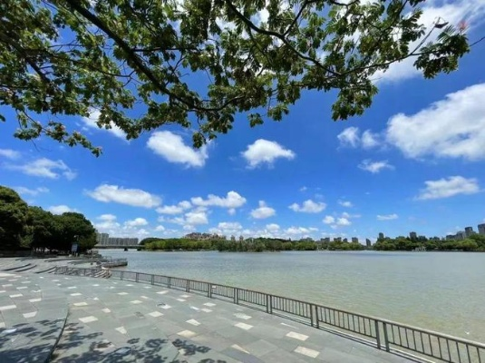 平湖天气，水乡四季的温柔与呼吸
