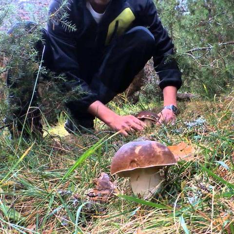 湖南未来三天天气预报,晴雨交替,气温小幅波动 湖南未来三天天气预报,晴雨交替,气温小幅波动