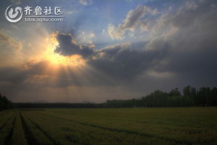 南丰天气预报,守候四季的温柔与变迁 南丰天气预报,守候四季的温柔与变迁